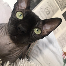 Clara