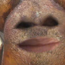 Iman