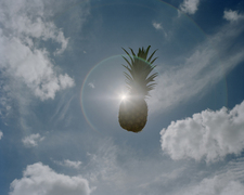 PineappleNoot