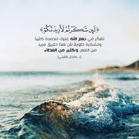 منةالله إمام