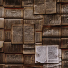 readingismyonlytalent