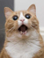 Emily S...
