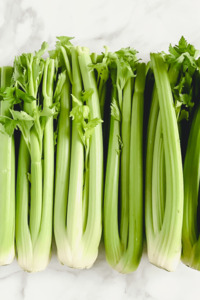 CrONChy CeleRy