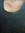 Nadia alnoman (nuche) | 1 comments