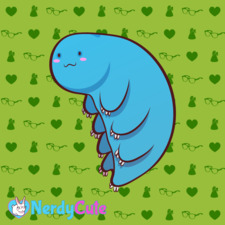 Joseph Robert Wright