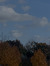 Marleen