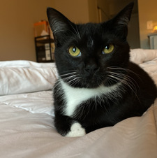 AL