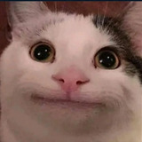 Kaizer [FCTO-USA] [GRG]