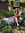 Sydney | 3 comments