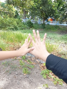 Prayanara . Ngr
