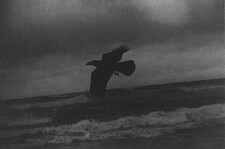 حہسہيہنہ آلتہلآل