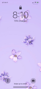 honeybug_