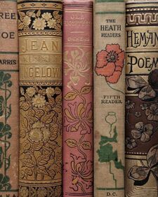 gung-ho_reader