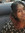 Linda joseph | 2 comments