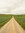 Pilgrim | 9 comments