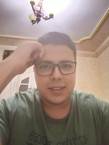 Mohamed Ahmed  Aboushama