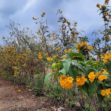 Chiteshwari Anand Nayer