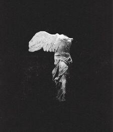 Gregor Pituch