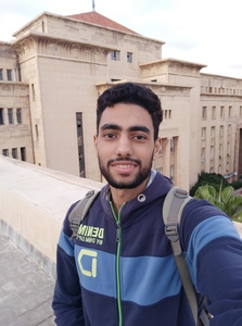 Mohamed Hamdi