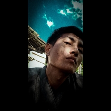 Xom Bee