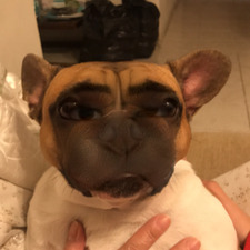 Matilda