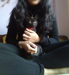 Charu