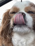 sadie_m...