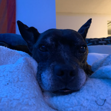 Nell
