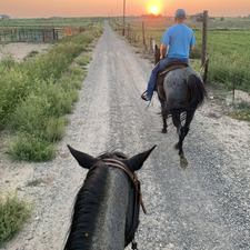 Bechard’s.middle.mania of the 