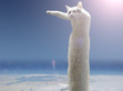 aetherinabyss