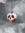 Ananimooose