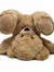 nini bear