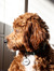 Shana W...