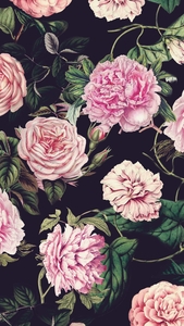 Syed Safdar Ali Shah