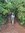 Ananya | 75 comments