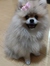Fluffy ...