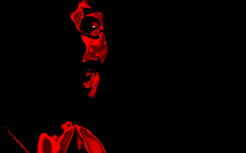 ফাইজুর ফারাবি