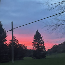 Shayna ❤️’s books