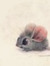 Book Mouse Reads
