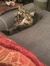 Zoey
