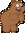Asha Night