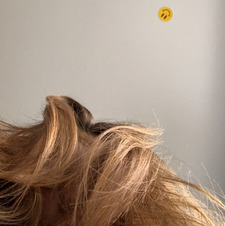 imogen.