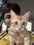 Sudhir Rao