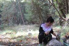 Μαίρη Σφαντού