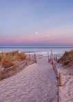 Goheli