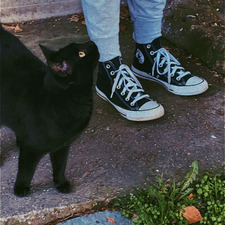 ✧❦ toni ༄❦✧