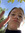 Lilia B...