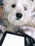 Jaden