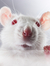 test sp...