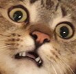 AJ